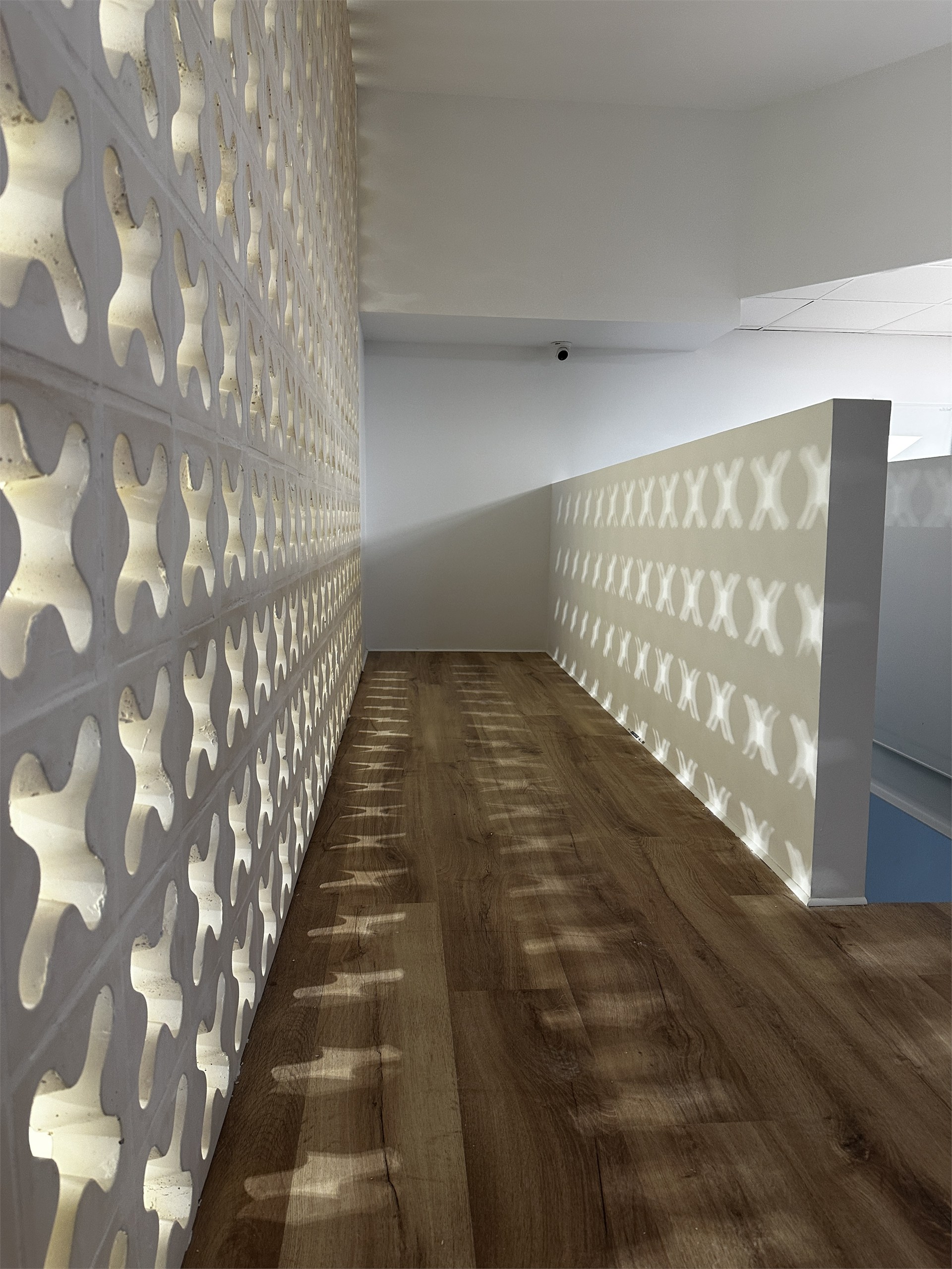 Patrón de luz proyectado por el cerramiento interior de Farmacia Xenia
